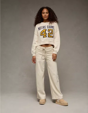 AE Notre Dame Cropped Sweater