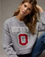 AE Ohio State Buckeyes Cropped Sweater