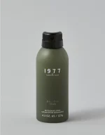 AEO 1977 Icon 4.5oz Body Spray